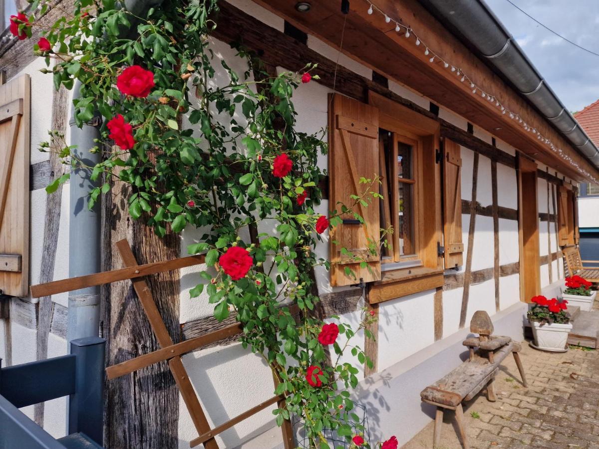 Une Maison A Colombages - Cosy, Lumineuse Et Sauna Kesseldorf Exterior photo